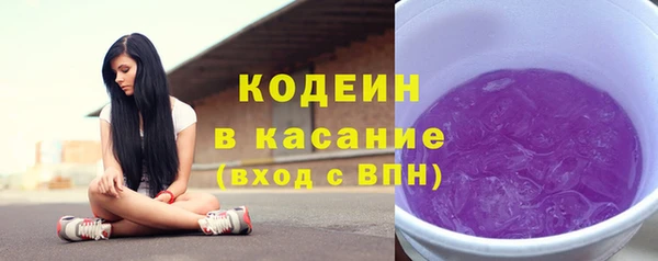 крисы Великий Новгород