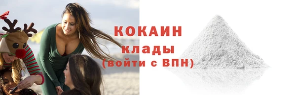 крисы Великий Новгород