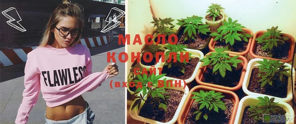 крисы Великий Новгород