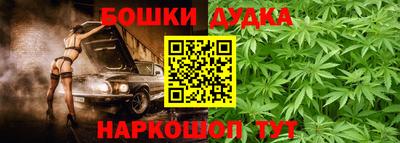 мяу мяу мука Гатчина