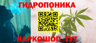 бошки Бийск