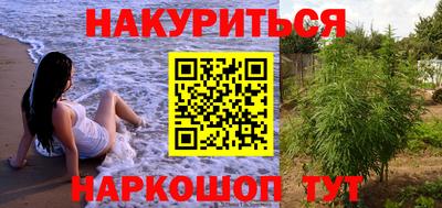 прущие крисы Будённовск