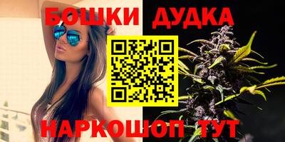 крисы Абакан
