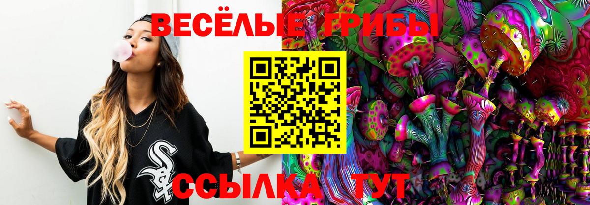 Псилоцибиновые грибы ЛСД Железноводск
